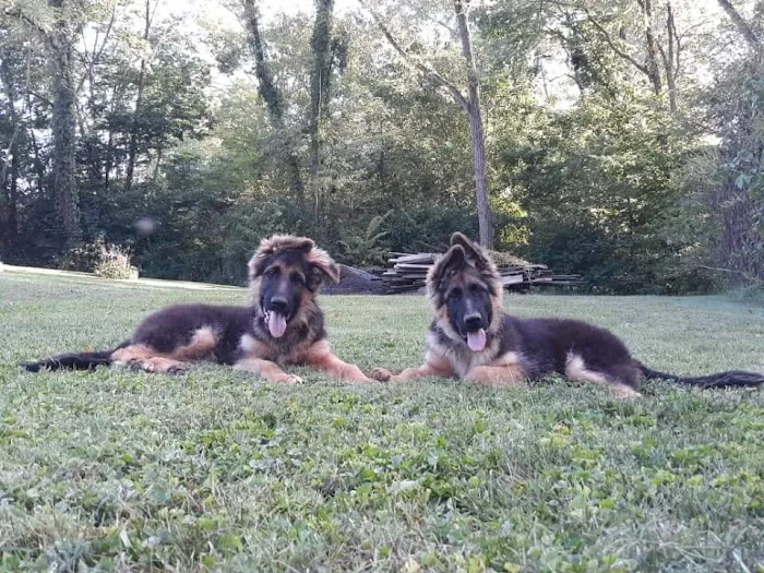 Jackson County Animal Clinic 9