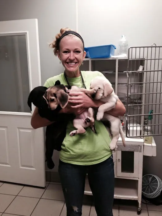 Seymour Animal Hospital 12