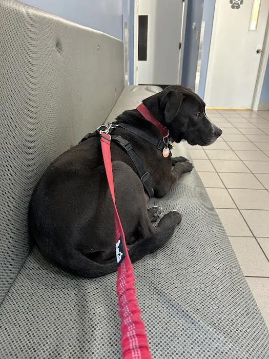 Seymour Animal Hospital 12