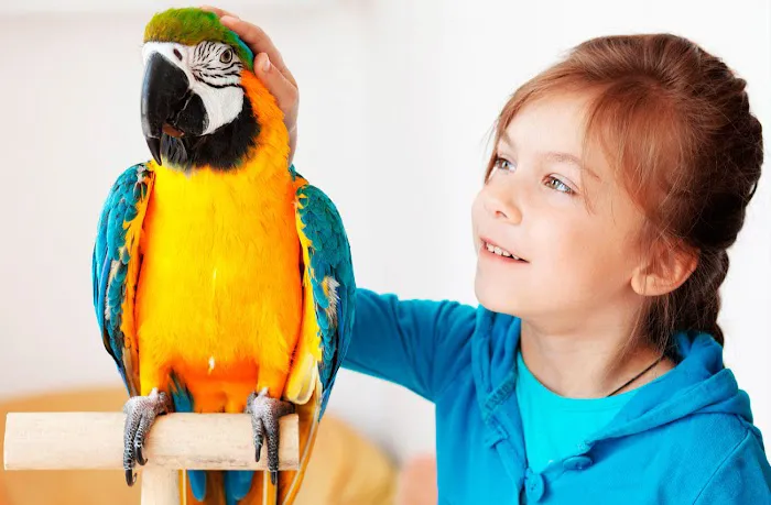 RLM Veterinary Services P.C. 5