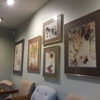 Cat Care Hospital ico