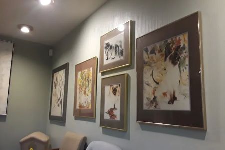 Cat Care Hospital