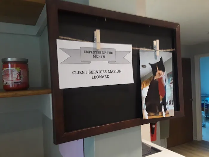 Cat Care Hospital 12