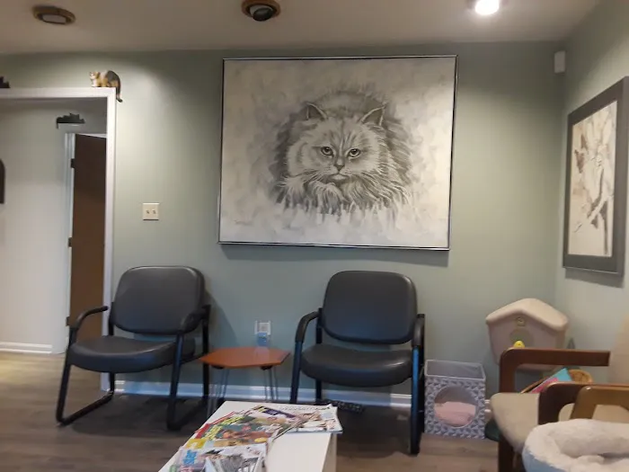 Cat Care Hospital 12