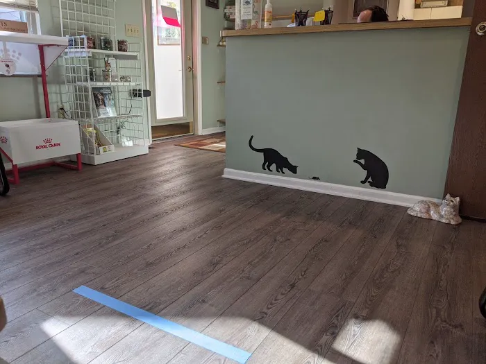 Cat Care Hospital 12