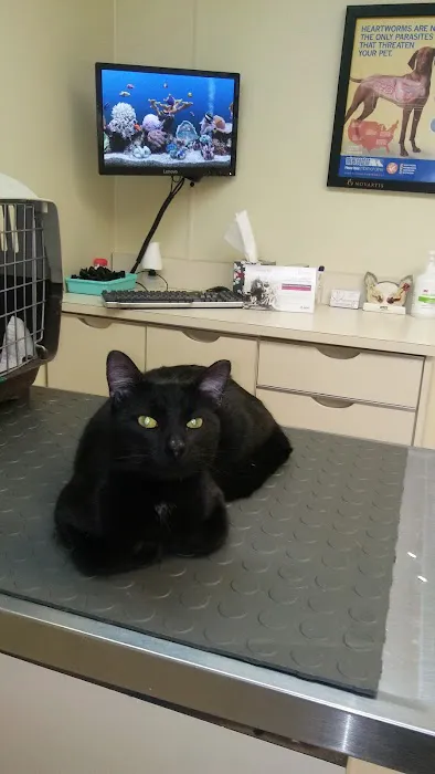 TLC Pet Care Centers 12