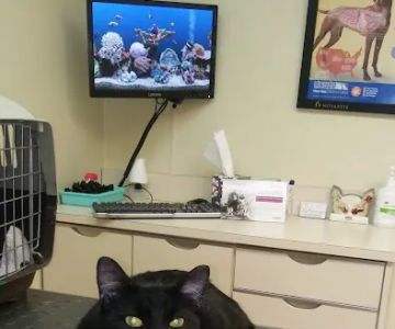 TLC Pet Care Centers
