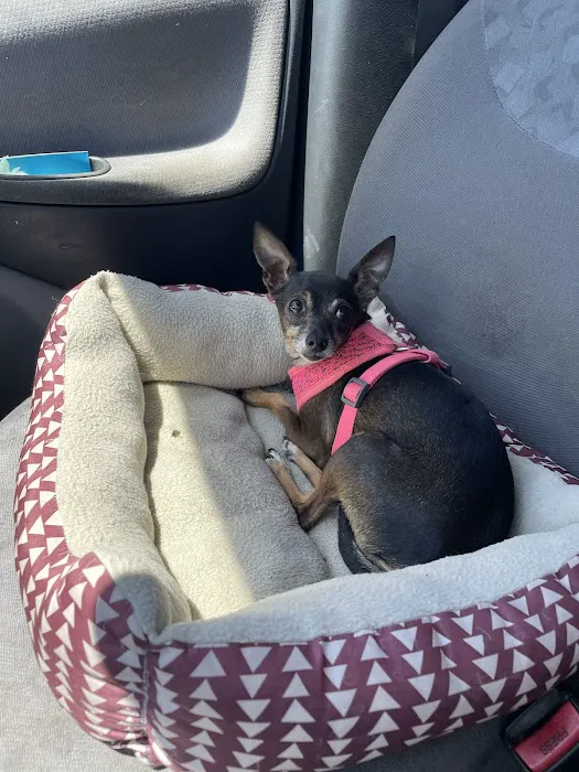 TLC Pet Care Centers 12