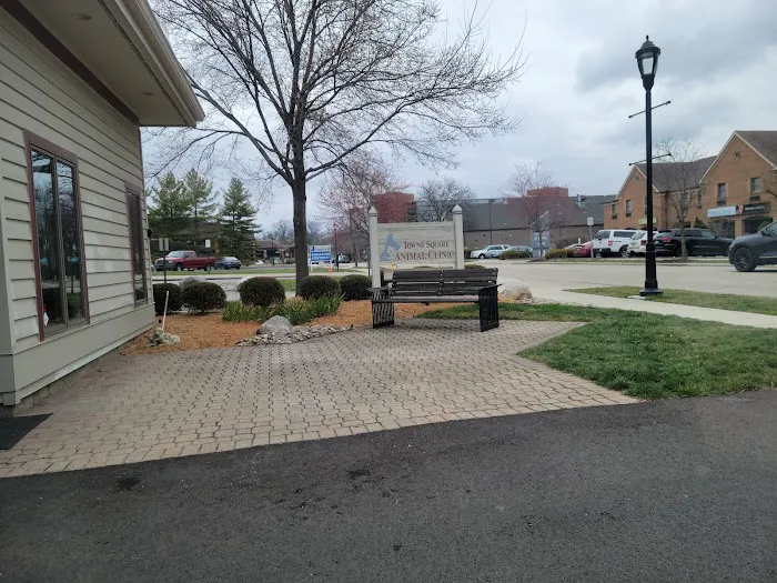 Towne Square Animal Clinic 12