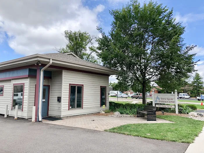 Towne Square Animal Clinic 12