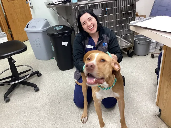 Evendale-Blue Ash Pet Hospital 8