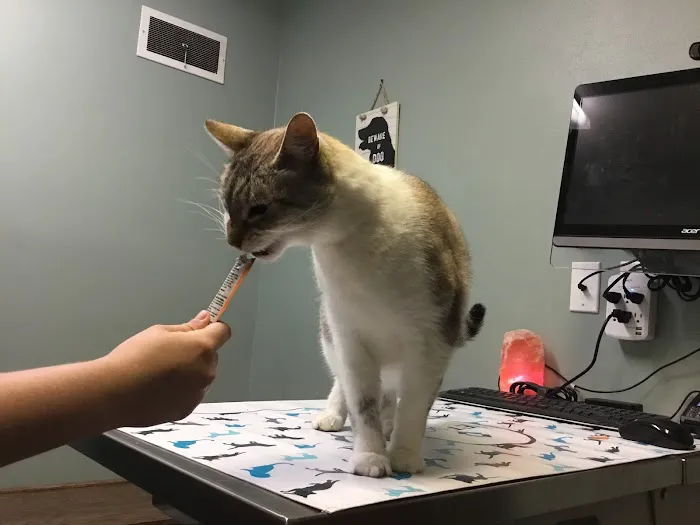 Evendale-Blue Ash Pet Hospital 7