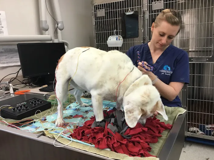 Evendale-Blue Ash Pet Hospital 1