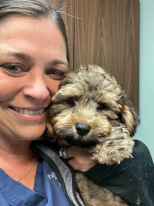 Evendale-Blue Ash Pet Hospital 5