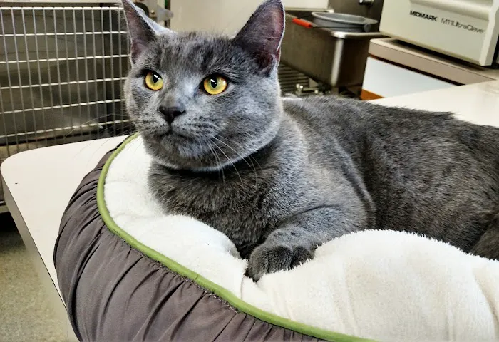 Evendale-Blue Ash Pet Hospital 2