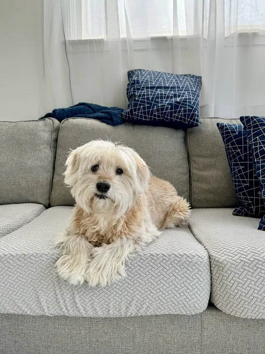 Mission Vet Urgent Care - Blue Ash 6
