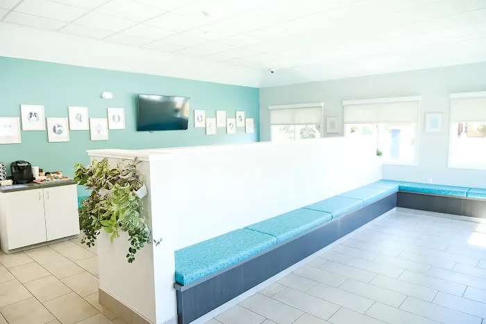 Mission Vet Urgent Care - Blue Ash 3
