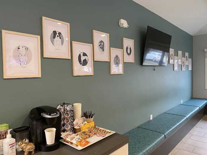 Mission Vet Urgent Care - Blue Ash 1