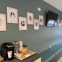 Mission Vet Urgent Care - Blue Ash ico