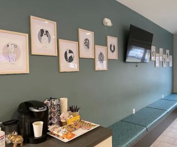 Mission Vet Urgent Care - Blue Ash