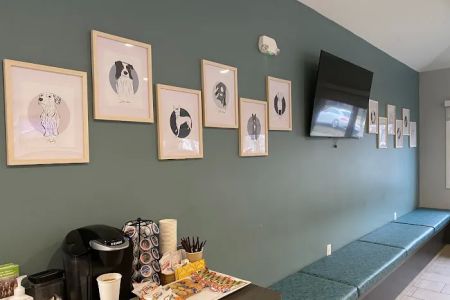 Mission Vet Urgent Care - Blue Ash