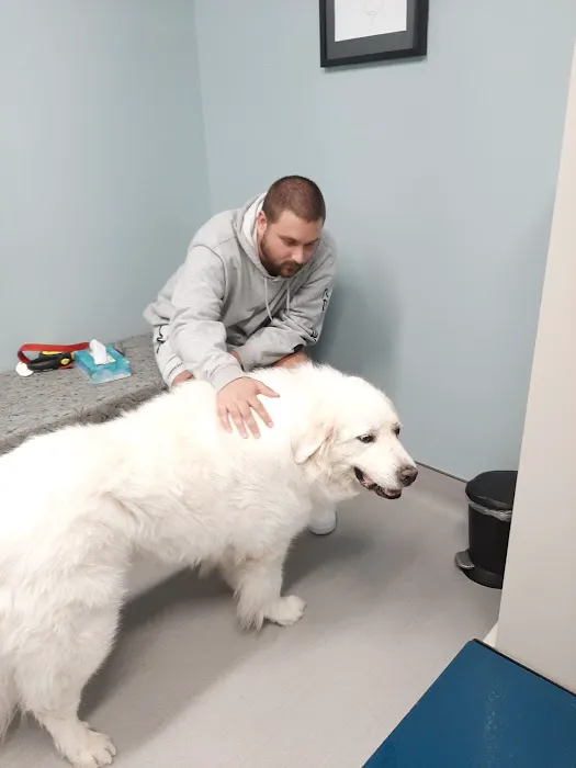 Mission Vet Urgent Care - Blue Ash 9