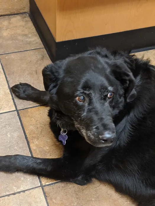 Banfield Pet Hospital 2
