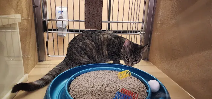Banfield Pet Hospital 8