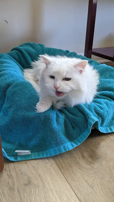Banfield Pet Hospital 3