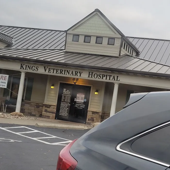 Kings Veterinary Hospital 3