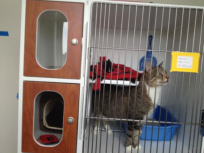 Loving Paws Pet Clinic 12