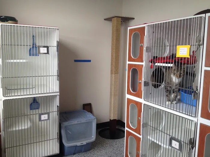 Loving Paws Pet Clinic 12