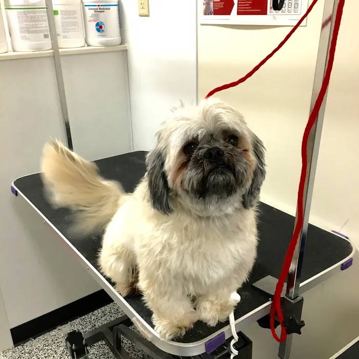 Loving Paws Pet Clinic 12