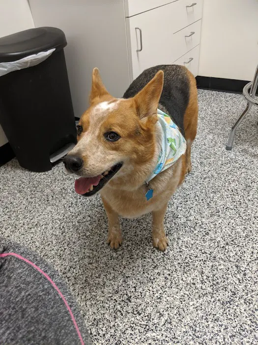 Loving Paws Pet Clinic 12