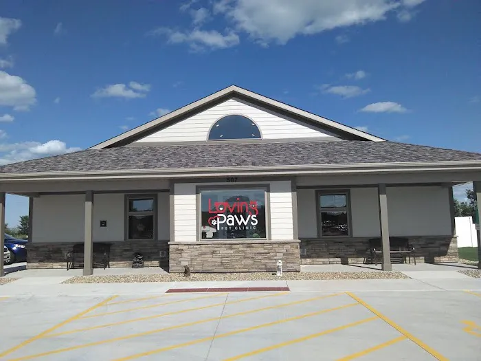 Loving Paws Pet Clinic 12