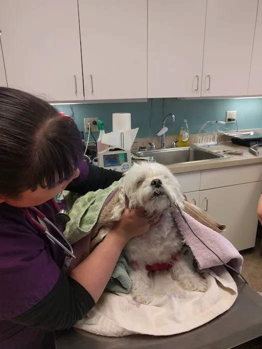 A & E Animal Hospital 8