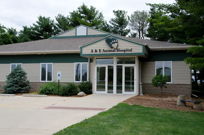 A & E Animal Hospital 4