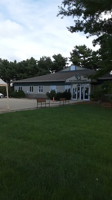 A & E Animal Hospital 6