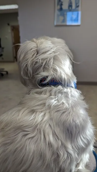 A & E Animal Hospital 3