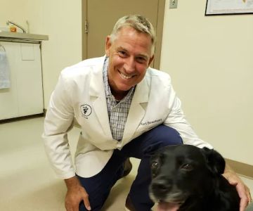 Beaumont Small Animal Clinic: Beaumont Kurt DVM