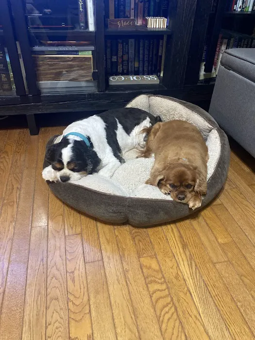 Beaumont Animal Clinic 2