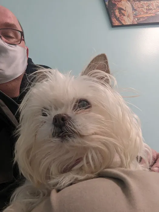 All Creatures Animal Hospital 12