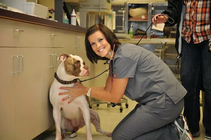 Animal Hospital at the Crossing 2