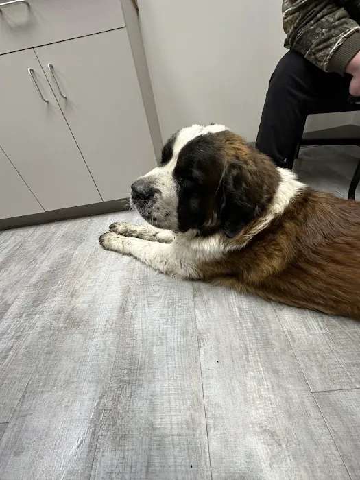 Animal Hospital at the Crossing 10