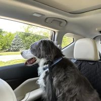 Animal Hospital at the Crossing ico