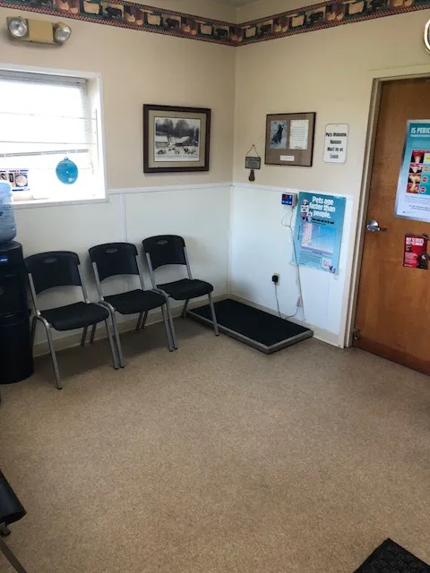 New Ross Veterinary Services 8