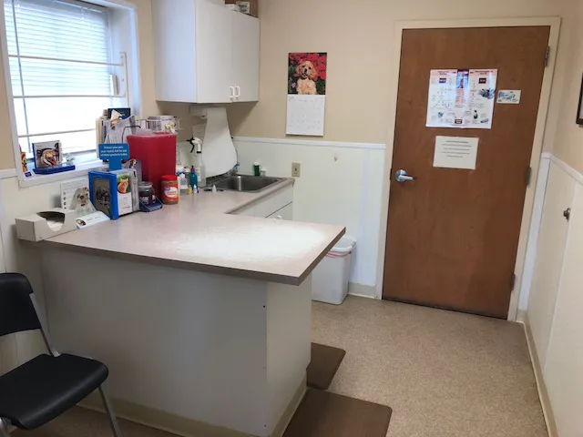 New Ross Veterinary Services 4