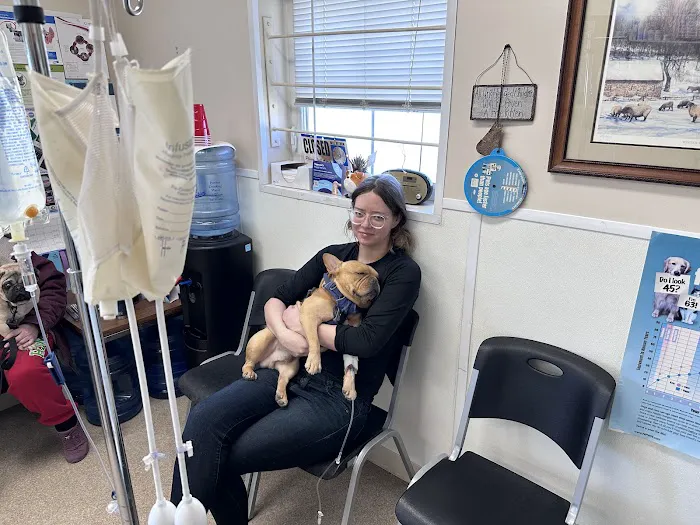 New Ross Veterinary Services 5