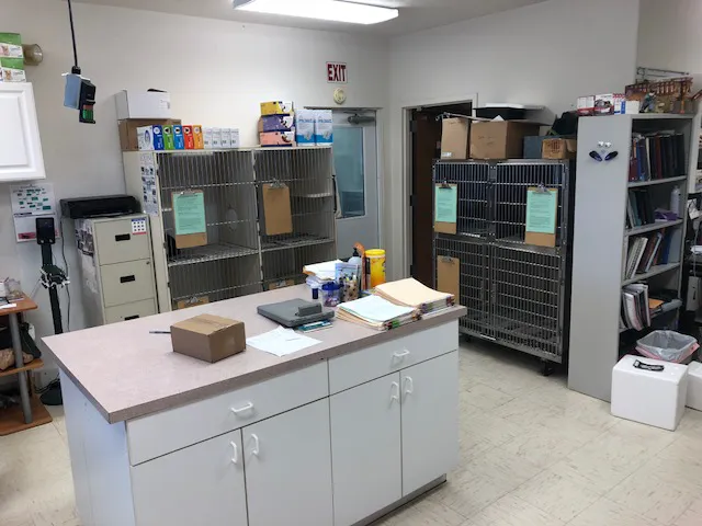 New Ross Veterinary Services 3