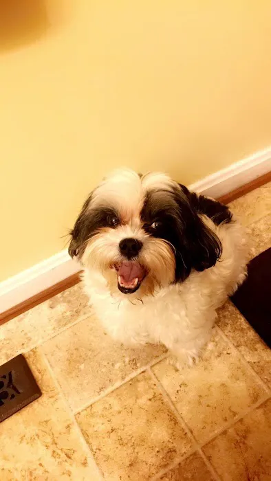 Animal Emergency of Mokena 1